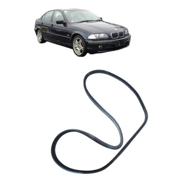 Borracha Porta Dianteira Direita Bmw 320i 