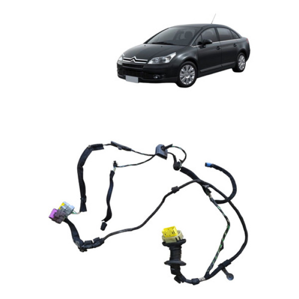 Chicote Porta Traseira Direita C4 Pallas 2008 2013