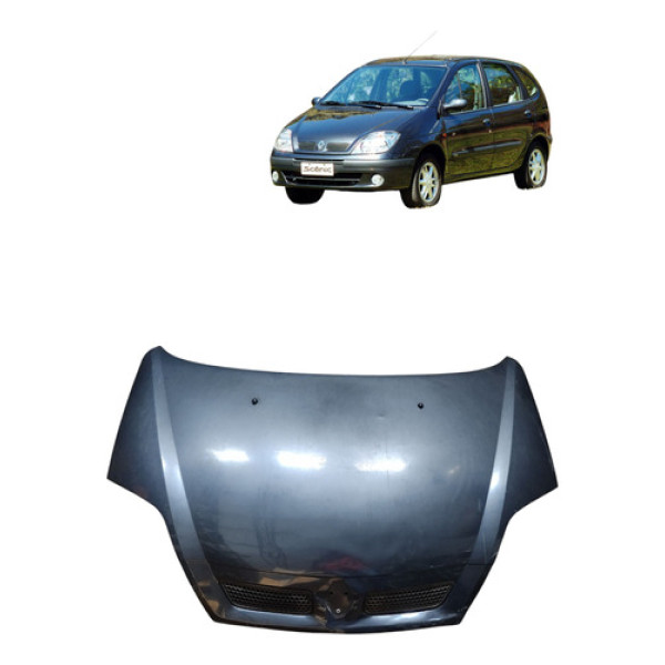 Capo Scenic 2003 2010