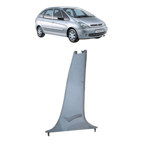 Moldura Coluna Central Xsara Picasso 2001 A 2011 