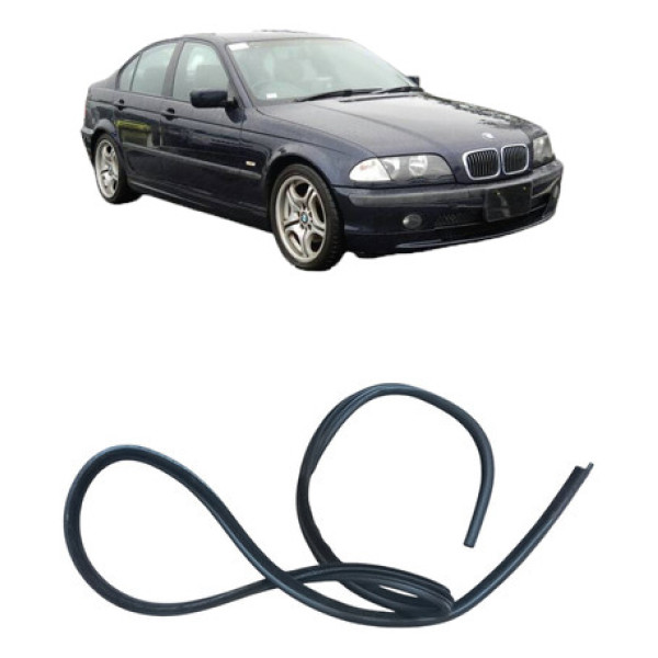 Borracha Porta Bmw 320i
