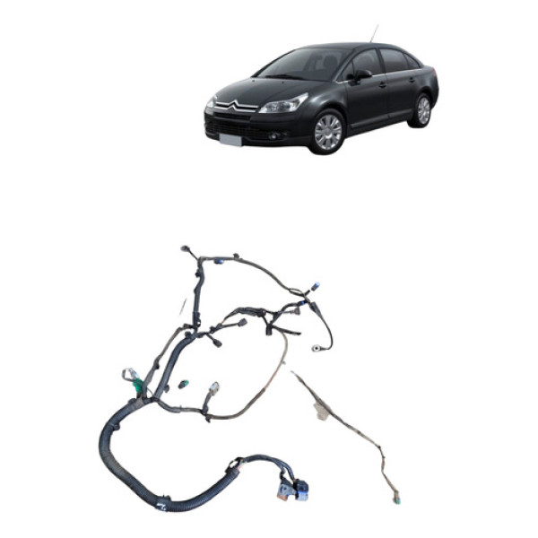 Chicote Injecao C4 Pallas 2008 2013 Original