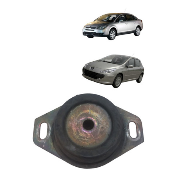 Coxim Cambio Peugeot 307 C4 Pallas 2.0 2002 2013 Esquerdo